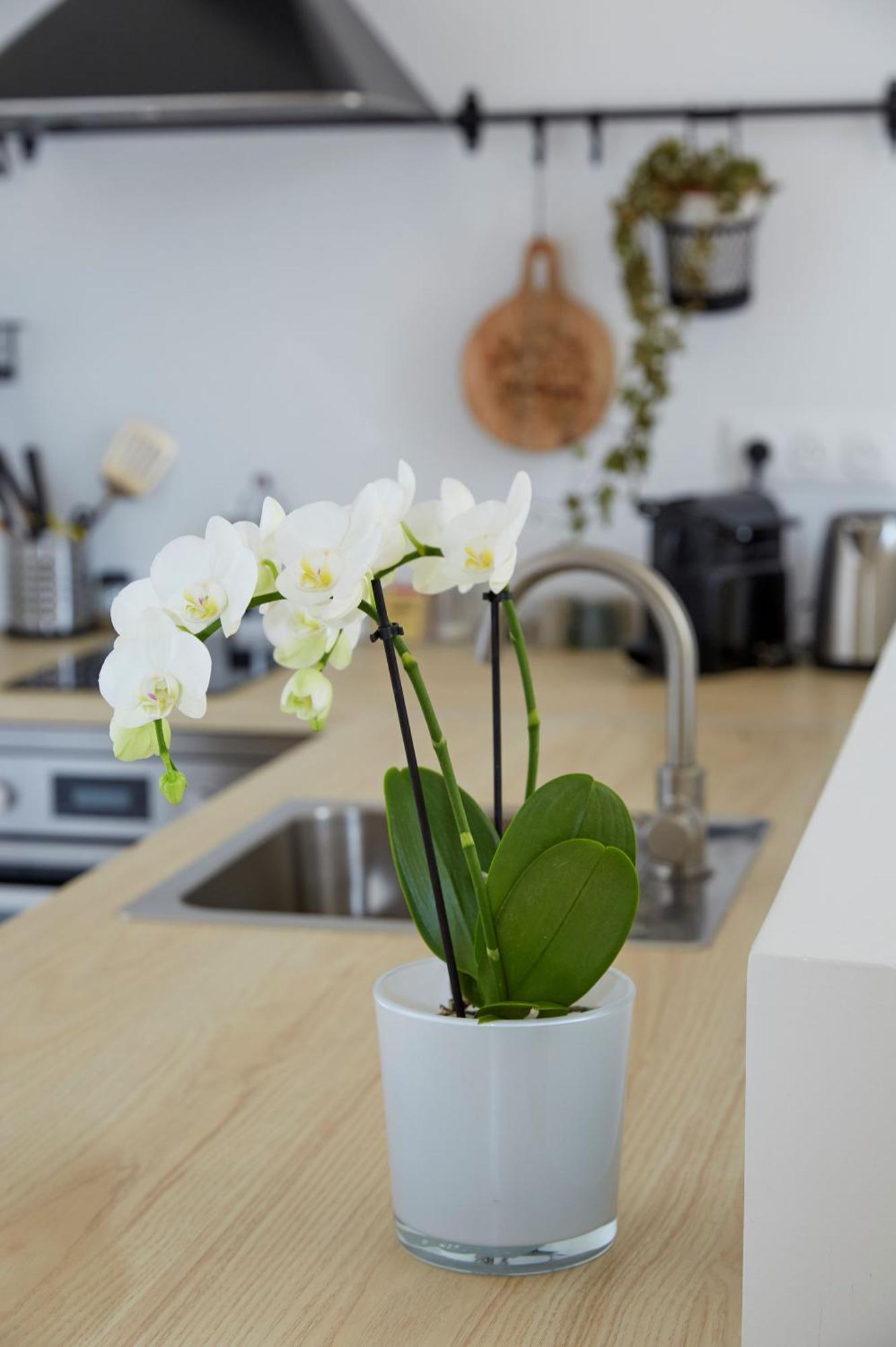 La Bertonnerie en Champagne Bed & Breakfast Prunay Bagian luar foto